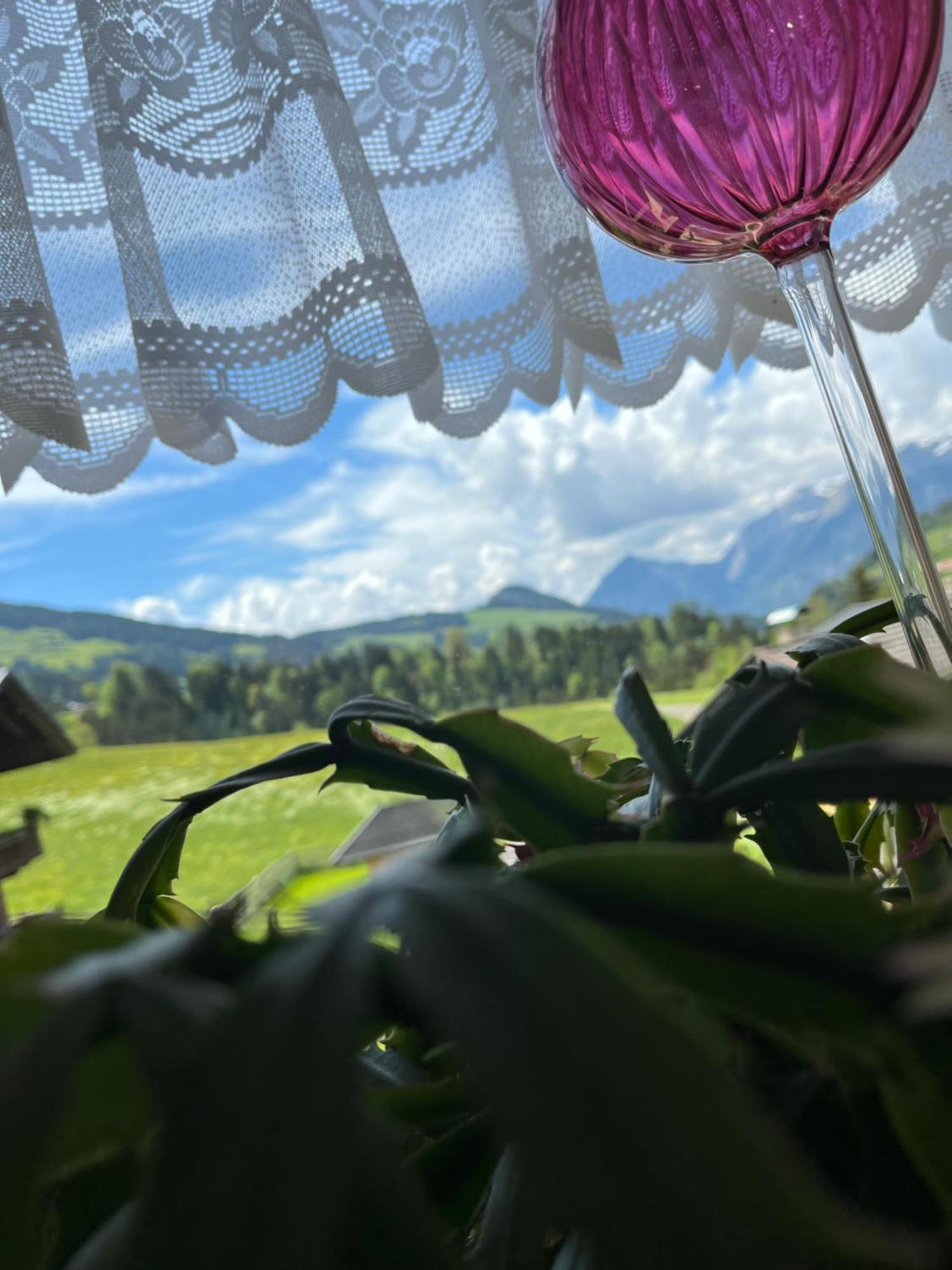 Appartements Kolberhof アルプバッハ エクステリア 写真